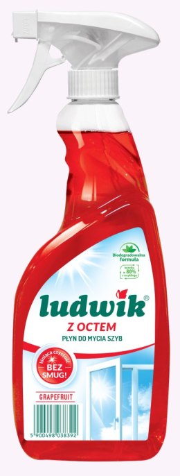 Ludwik 600ml pł.grapefruit d/szyb i glaz./10