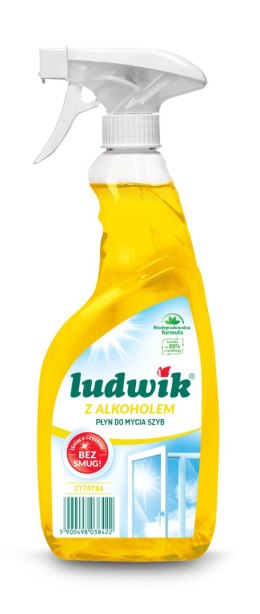 Ludwik 600ml pł.lemon d/szyb i glaz. /10