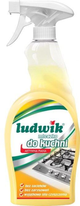 Ludwik mleczko 750ml d/kuchni spray /6